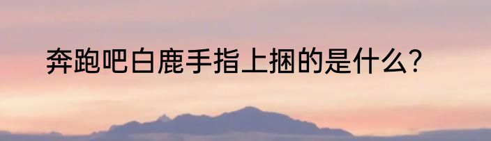 奔跑吧白鹿手指上捆的是什么？