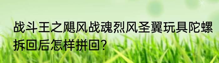 战斗王之飓风战魂烈风圣翼玩具陀螺拆回后怎样拼回？