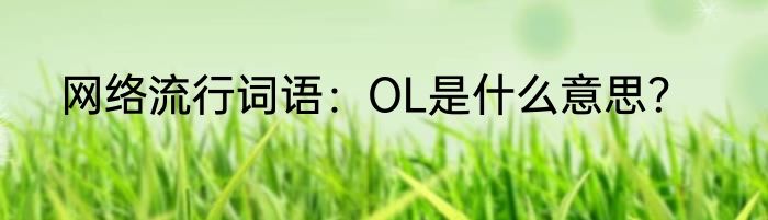 网络流行词语：OL是什么意思？