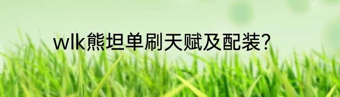 wlk熊坦单刷天赋及配装？