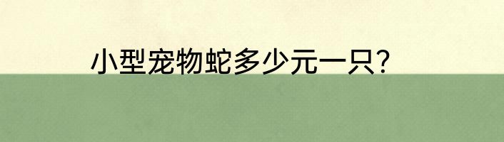 小型宠物蛇多少元一只？