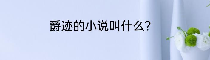 爵迹的小说叫什么？