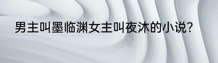 男主叫墨临渊女主叫夜沐的小说？