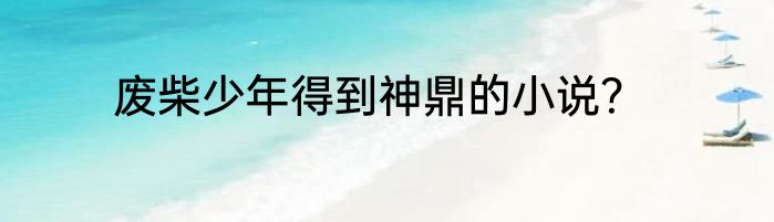 废柴少年得到神鼎的小说？