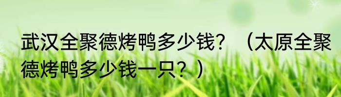 武汉全聚德烤鸭多少钱？（太原全聚德烤鸭多少钱一只？）