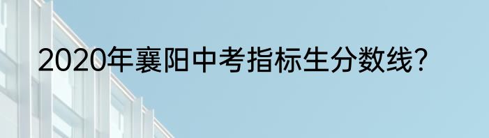 2020年襄阳中考指标生分数线？