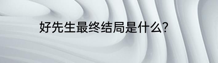 好先生最终结局是什么？