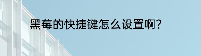 黑莓的快捷键怎么设置啊？