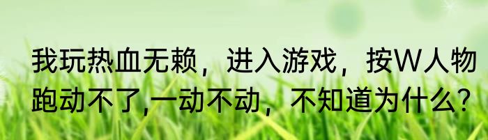 我玩热血无赖，进入游戏，按W人物跑动不了,一动不动，不知道为什么？