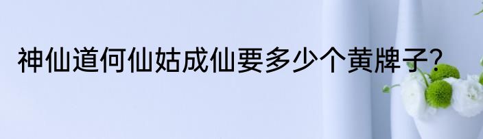 神仙道何仙姑成仙要多少个黄牌子？