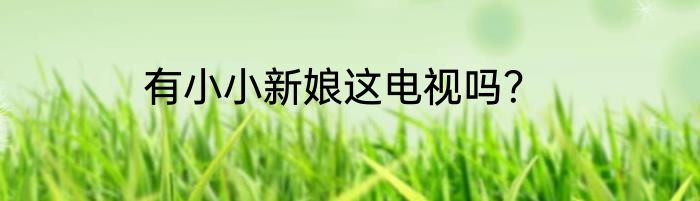 有小小新娘这电视吗？
