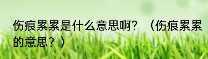伤痕累累是什么意思啊？（伤痕累累的意思？）
