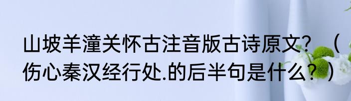 山坡羊潼关怀古注音版古诗原文？（伤心秦汉经行处.的后半句是什么？）
