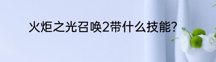 火炬之光召唤2带什么技能？