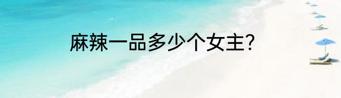 麻辣一品多少个女主？