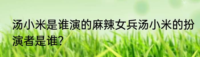 汤小米是谁演的麻辣女兵汤小米的扮演者是谁？