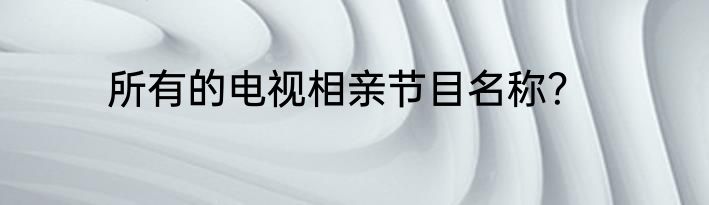 所有的电视相亲节目名称？