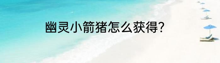 幽灵小箭猪怎么获得？