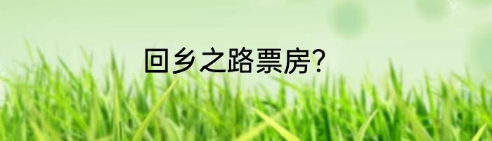 回乡之路票房？