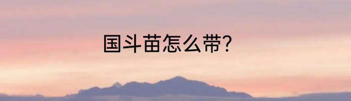国斗苗怎么带？