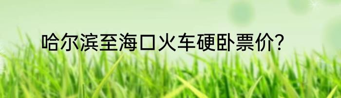 哈尔滨至海口火车硬卧票价？