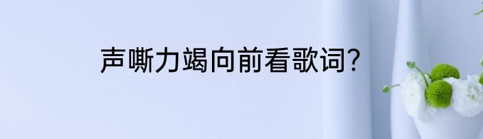 声嘶力竭向前看歌词？