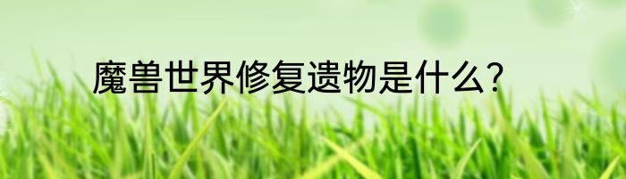 魔兽世界修复遗物是什么？