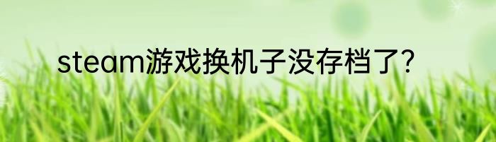 steam游戏换机子没存档了？