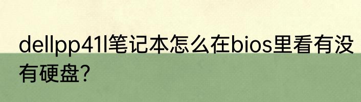 dellpp41l笔记本怎么在bios里看有没有硬盘？