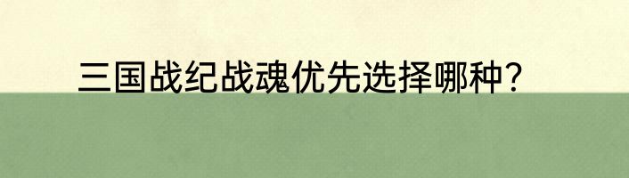 三国战纪战魂优先选择哪种？