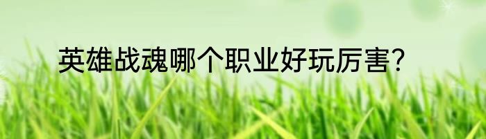 英雄战魂哪个职业好玩厉害？