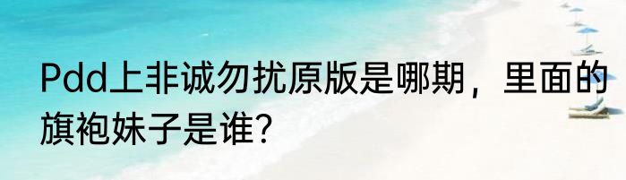 Pdd上非诚勿扰原版是哪期，里面的旗袍妹子是谁？