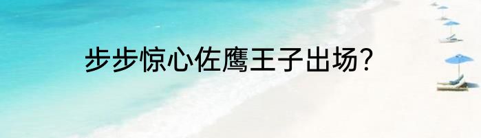 步步惊心佐鹰王子出场？