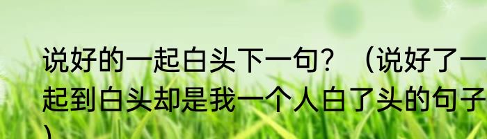 说好的一起白头下一句？（说好了一起到白头却是我一个人白了头的句子？）