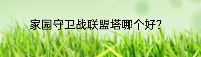 家园守卫战联盟塔哪个好？