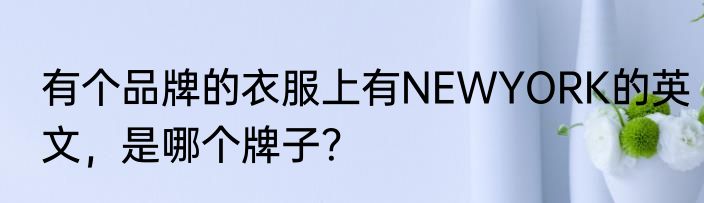 有个品牌的衣服上有NEWYORK的英文，是哪个牌子？