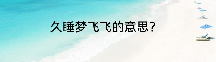 久睡梦飞飞的意思？