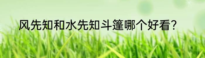 风先知和水先知斗篷哪个好看？