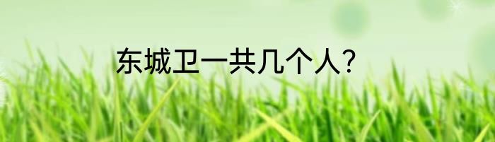 东城卫一共几个人？