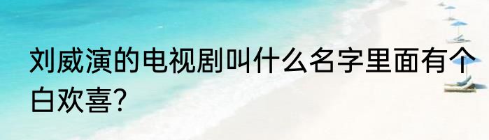 刘威演的电视剧叫什么名字里面有个白欢喜？