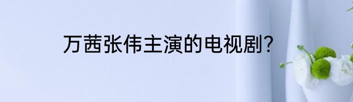万茜张伟主演的电视剧？