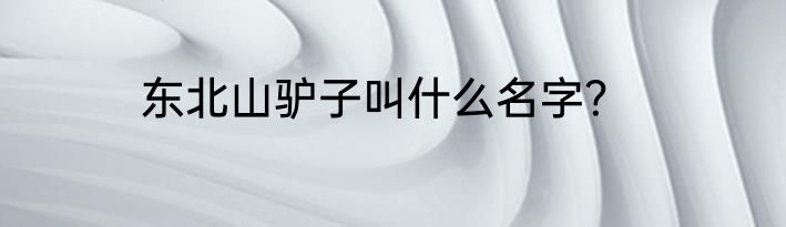 东北山驴子叫什么名字？