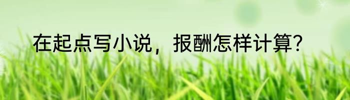 在起点写小说，报酬怎样计算？
