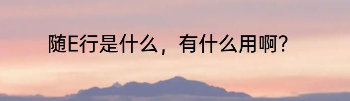 随E行是什么，有什么用啊？