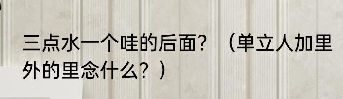 三点水一个哇的后面？（单立人加里外的里念什么？）
