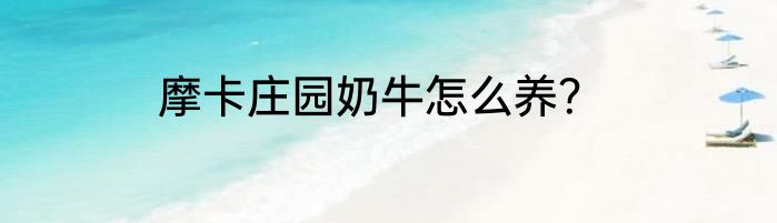 摩卡庄园奶牛怎么养？