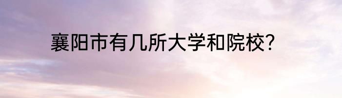 襄阳市有几所大学和院校？