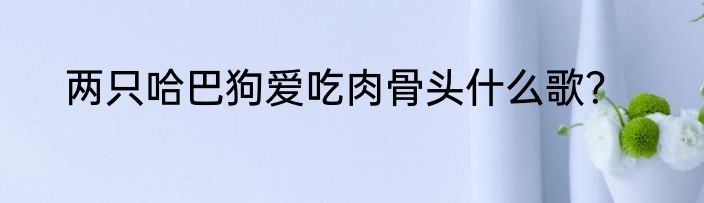 两只哈巴狗爱吃肉骨头什么歌？