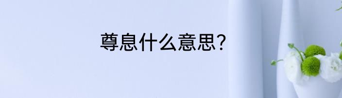 尊息什么意思？