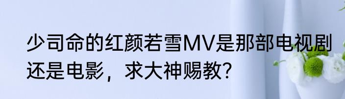 少司命的红颜若雪MV是那部电视剧还是电影，求大神赐教？